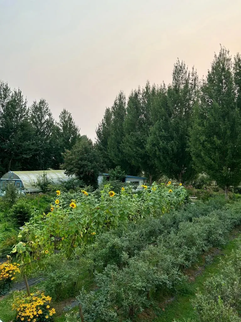 Palm Meadows Farm gallery image 8