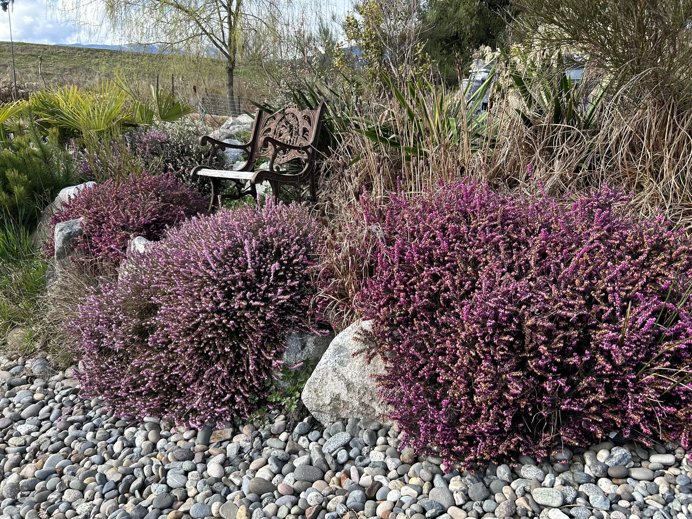 Palm Meadows Farm gallery image 1