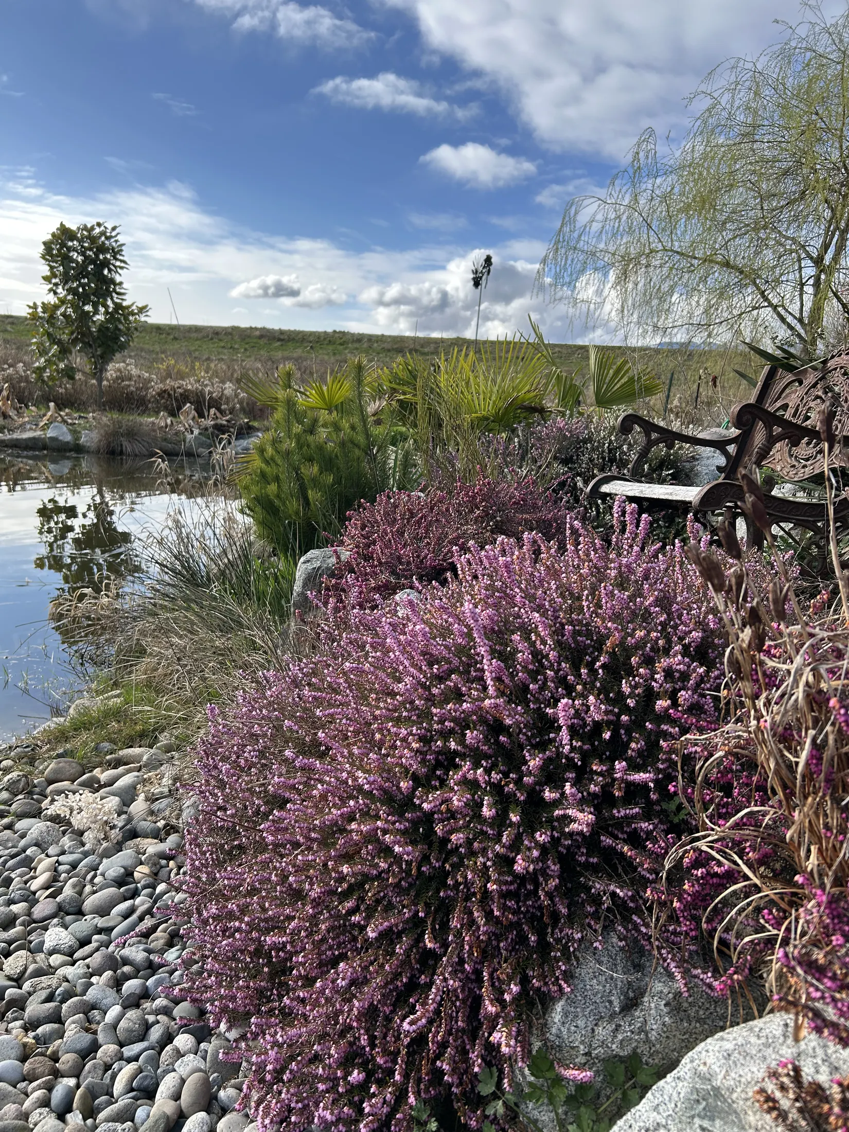 Palm Meadows Farm gallery image 2