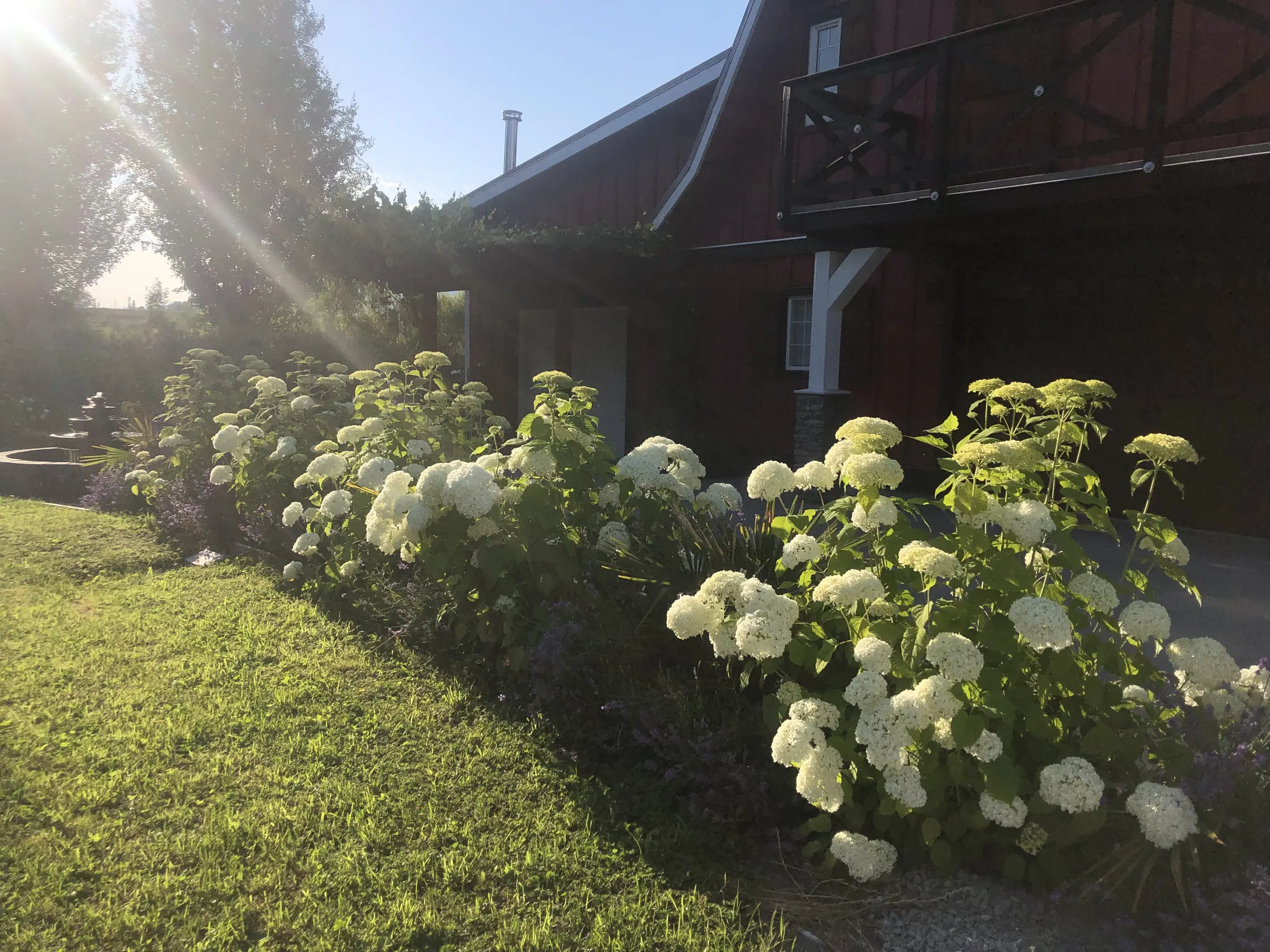 Palm Meadows Farm gallery image 4