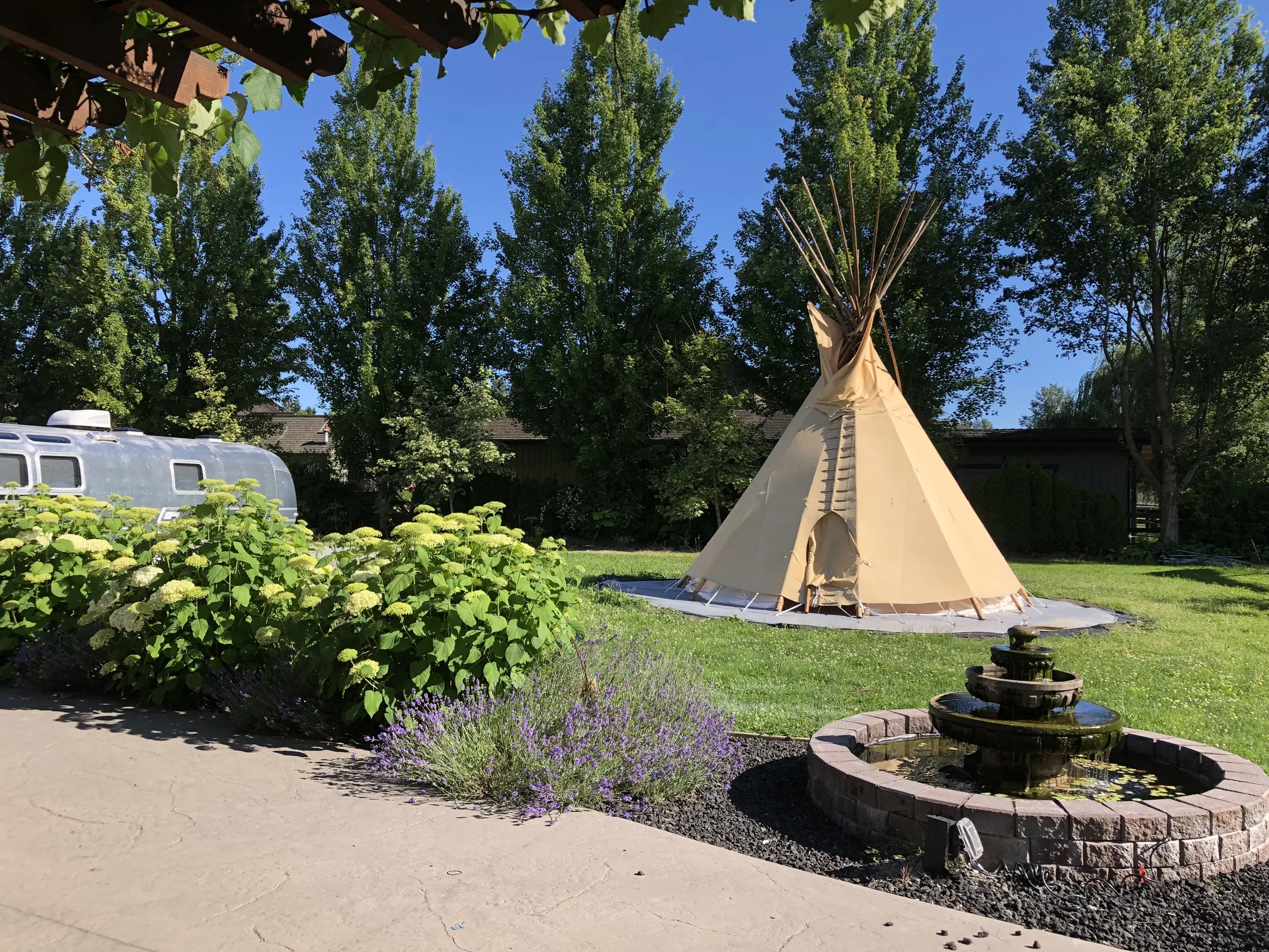 Palm Meadows Farm gallery image 5