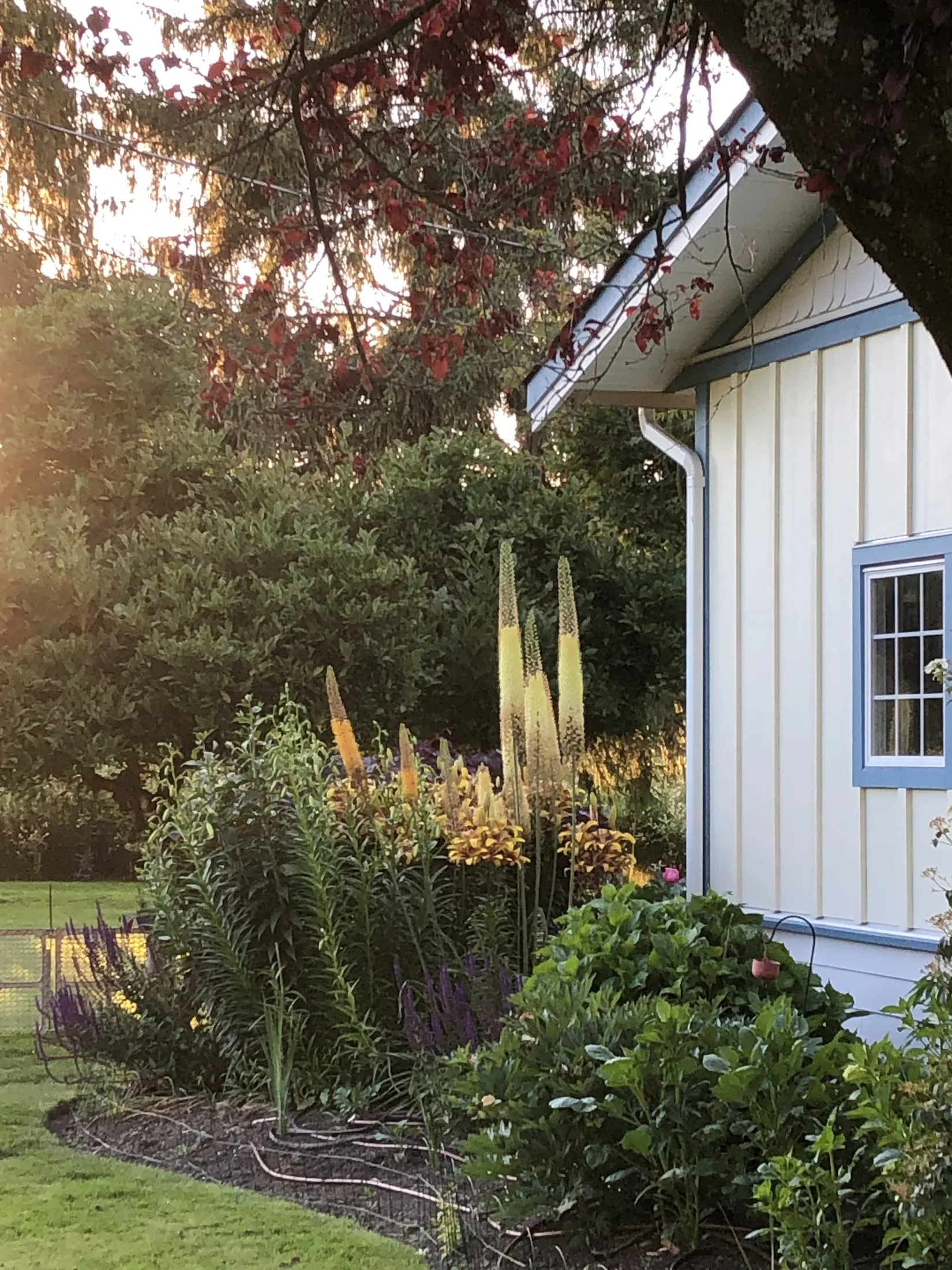 Palm Meadows Farm gallery image 6