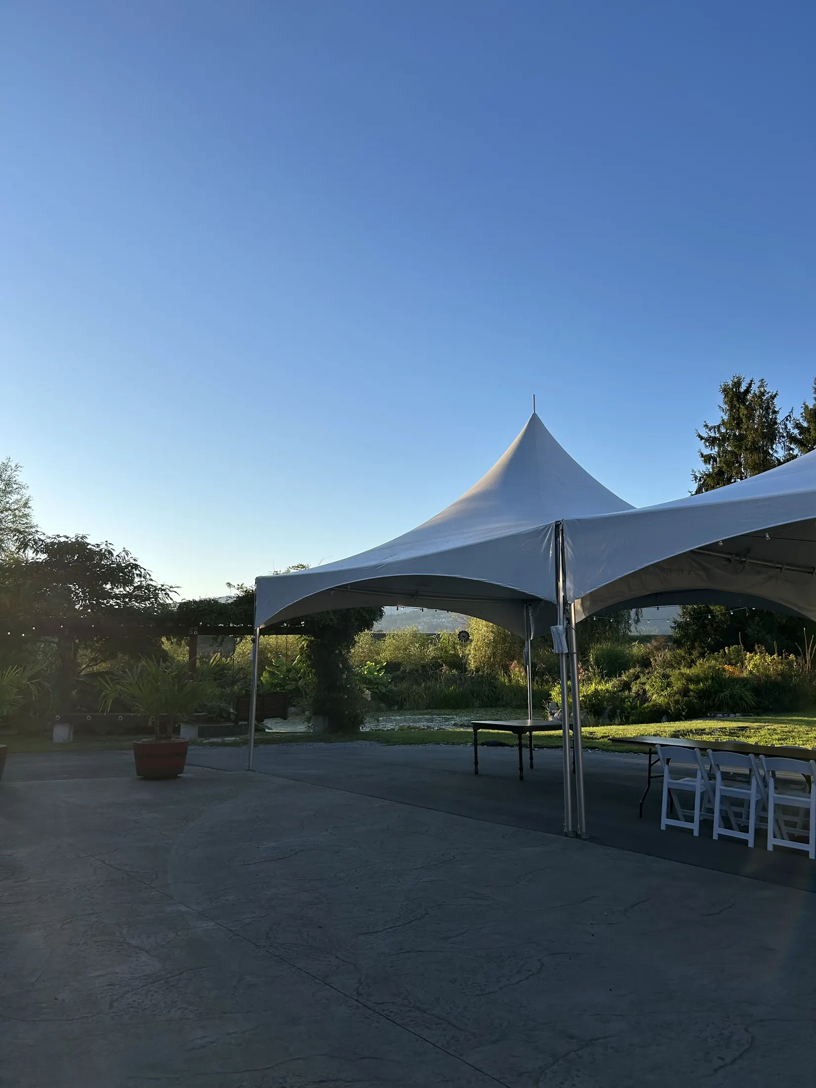 Palm Meadows Farm wedding gallery image 9