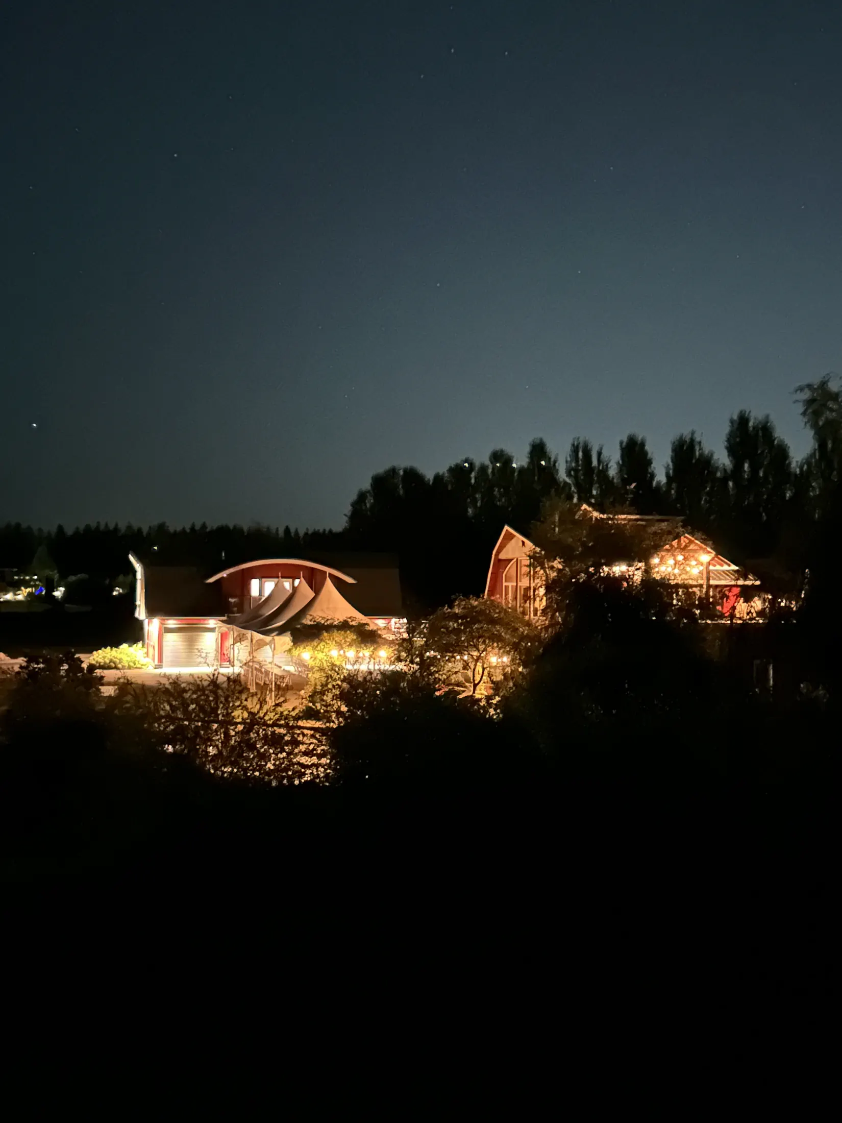 Palm Meadows Farm wedding gallery image 12