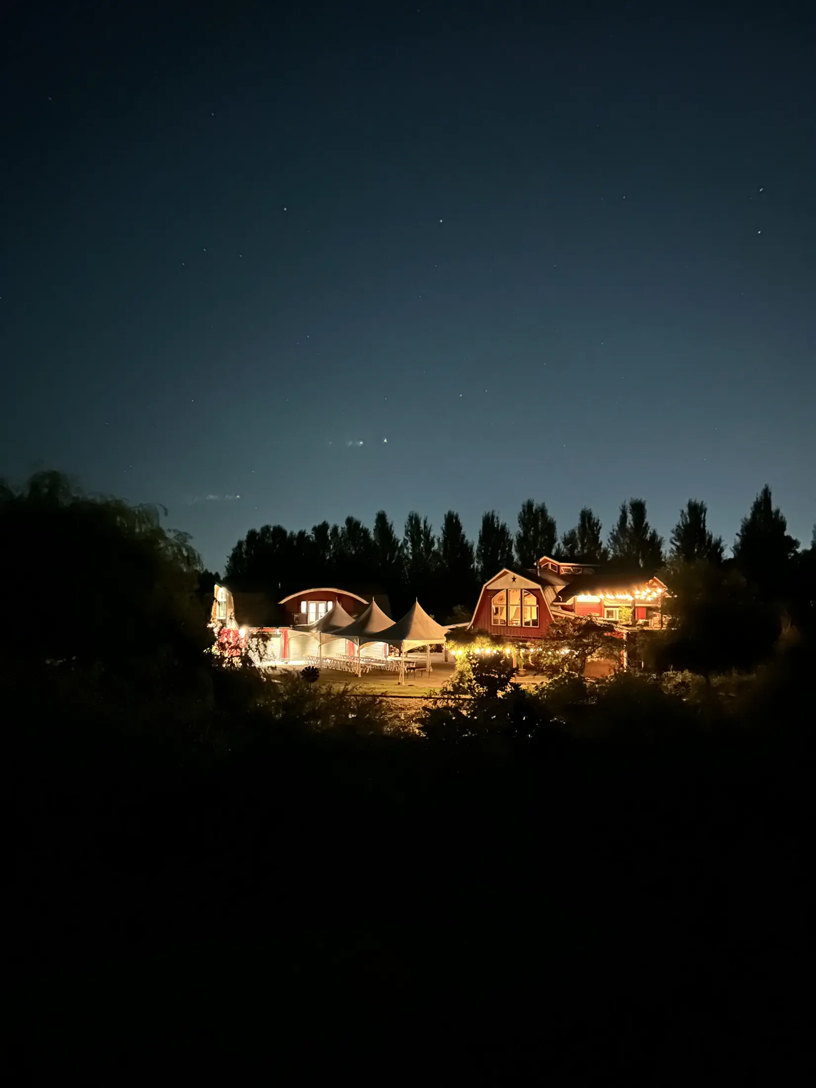 Palm Meadows Farm wedding gallery image 10